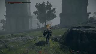 The time I got baited in Elden Ring