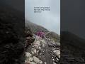 🏔️ Sirf Manzil Nahi, Safar Bhi Yaad Rehta Hai