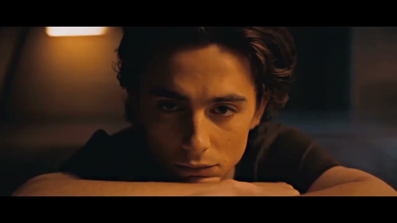 AEVIZ  -  SIN DISCULPAS 