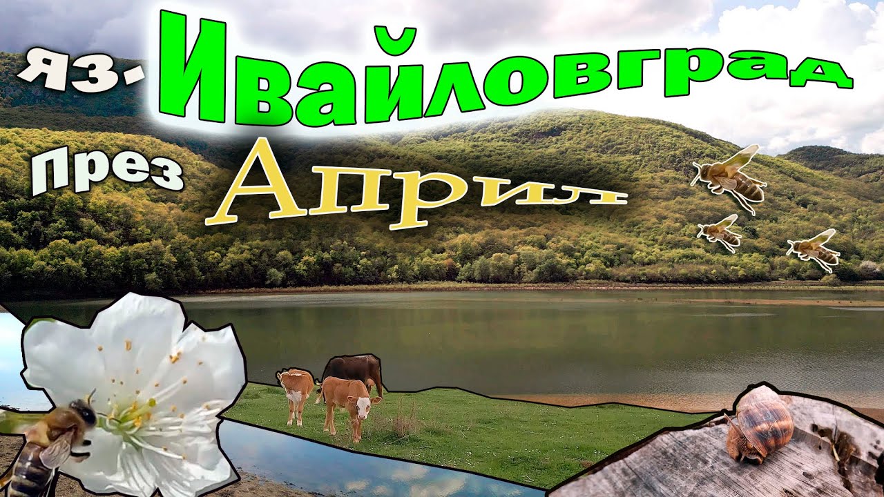 Пролет на язовир Ивайловград.Април 2024.4К видео.Spring at the Ivaylovgrad dam.