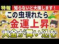 【金運上昇】この虫現れたら超幸運！大金が舞い込むサイン。どん底だったの50代主婦が○○虫を見たら1億円を引き寄せた奇跡の物語【ゆっくり解説】