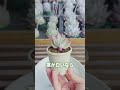 【早めのチェックで大丈夫】