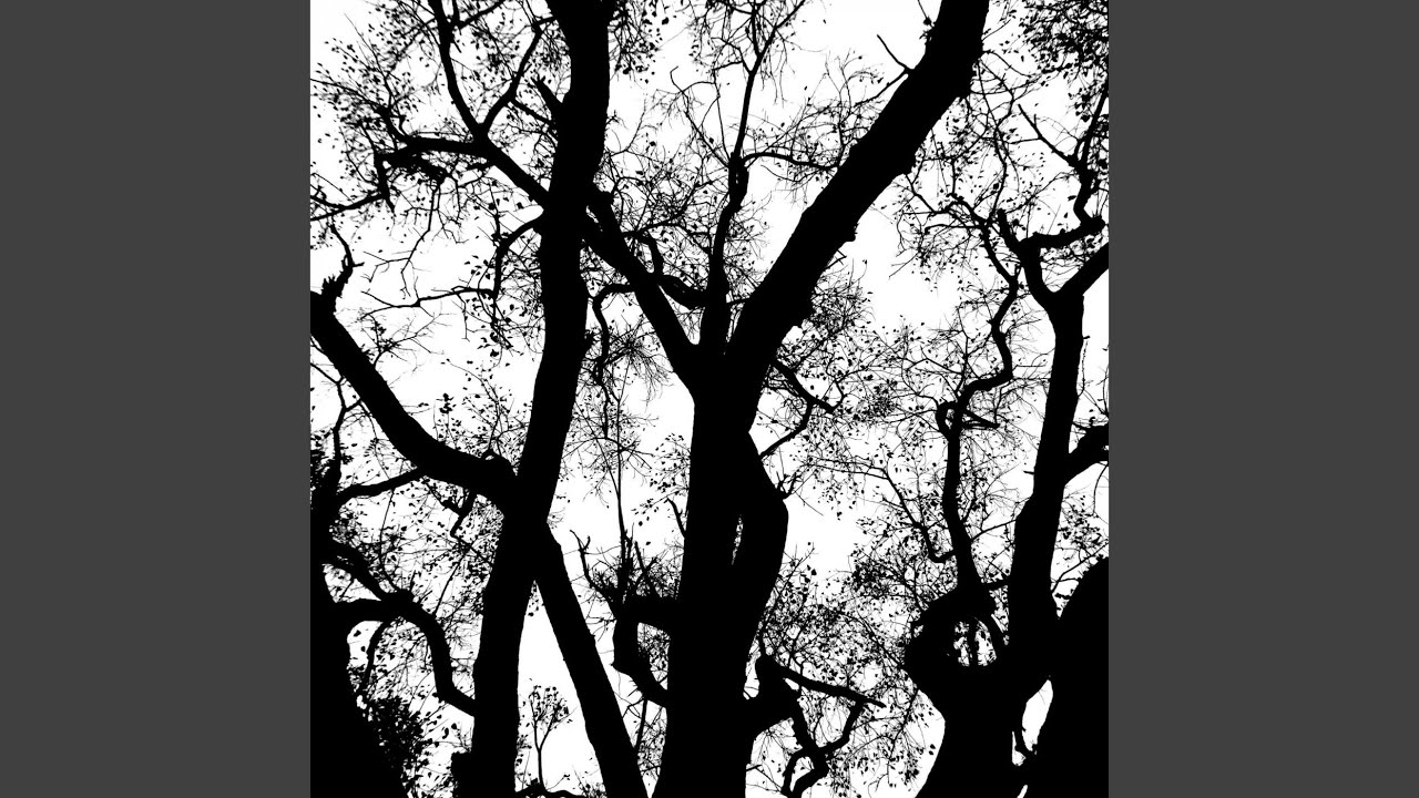 Background for Summer Ballads