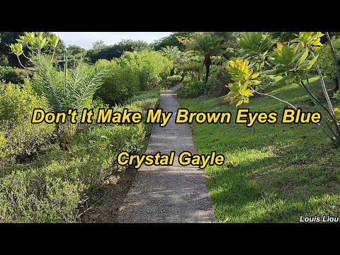 Crystal Gayle Don't