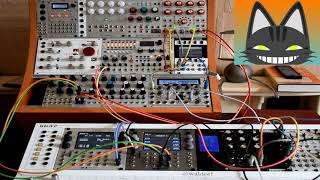 Synthesis Technology E352 Cloud Terrrarium 2 Operator FM