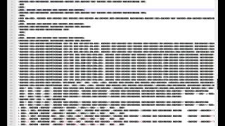 Unpacking Aion .pak files