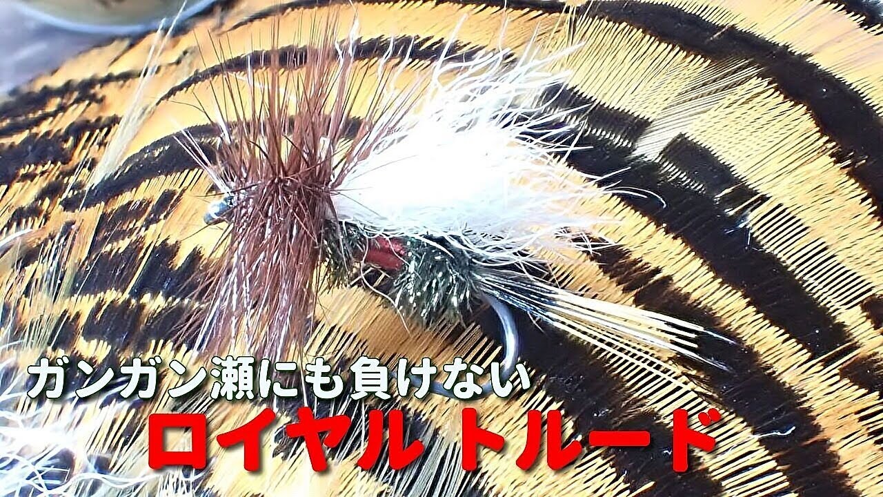 ガンガン瀬にも負けないロイヤルトルード