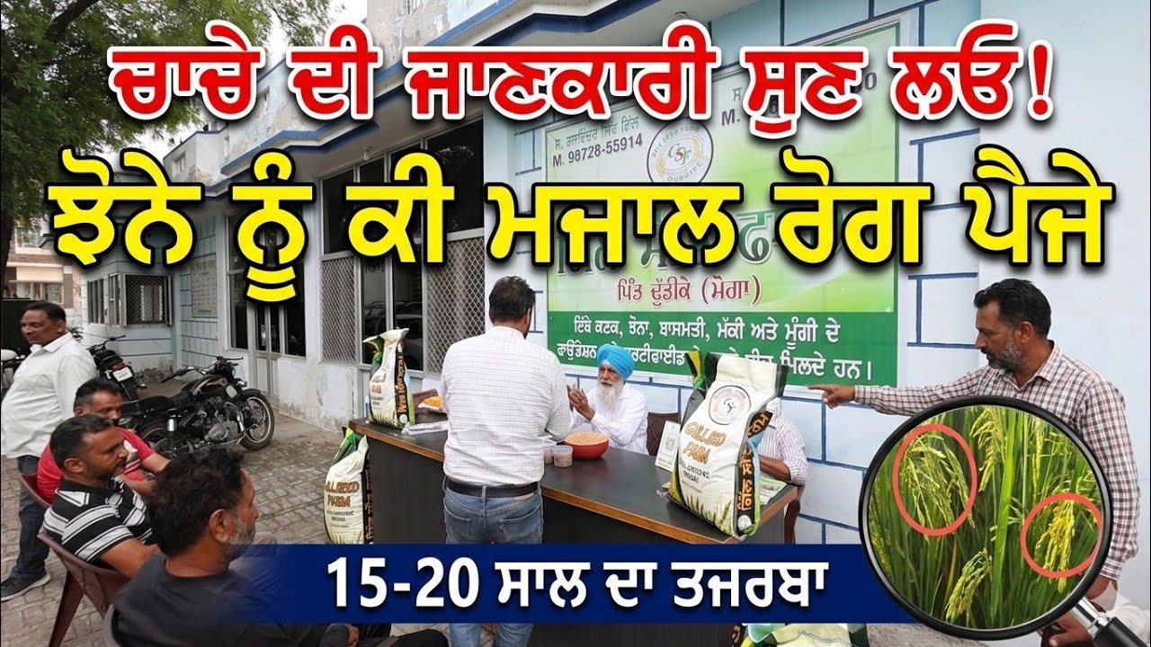 ⁣ਚਾਚੇ ਦਾ 20 ਸਾਲ ਪੁਰਾਣਾ ਤਜਰਬਾ ਸੁਣੋਂ ਝੋਨੇ ਦੀ ਕੀ ਮਜਾਲ ਆ ਰੋਗ ਆਜੇ 