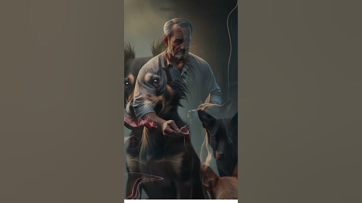 A Street Dog’s Unexpected Kindness  #hiddenclues #cute #imaginaryadventures
