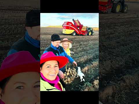 Kto spotkał się ? klimacik z pasją ! 🧡 w Szkotowie na polu
