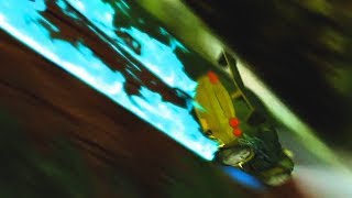 Acceleracers 4K Test - DNxHD