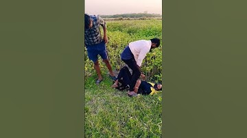 Full Video: Angaaron (The Couple Song) Allu Arjun, Rashmika | Pushpa 2 The Rule | DSP, Shreya Gho...