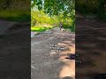 Subscribe in case you never see me again #yippee #mtb #touchinggrass #jump #bmx #dirtjumps