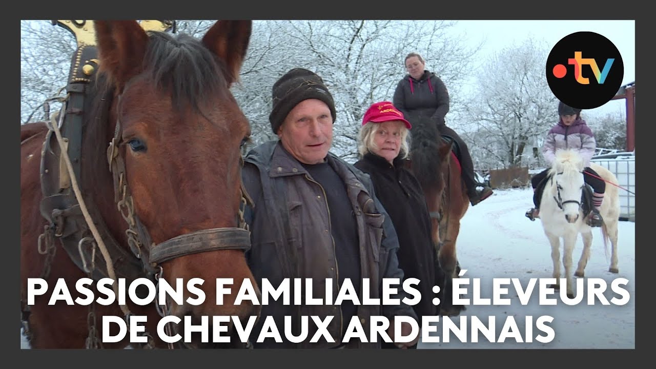 Passions familiales : famille Louis, éleveurs de chevaux Ardennais