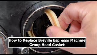 The Mr. Coffee Cafe Barista group gasket or steam ring seal: the $2 DIY fix