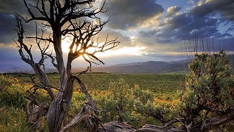 ( نصف الحزب 57 )  سورة الحاقة ، سورة المعارج الآية 1 إلى 18 ، القارئ خالد الغامدي