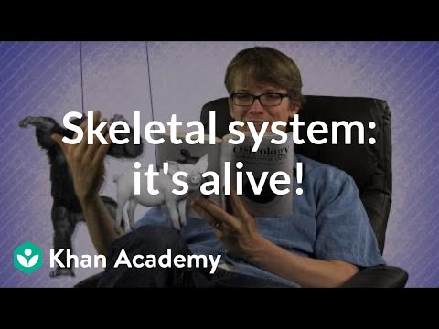 Видео: В дефиниция на скелетната система?