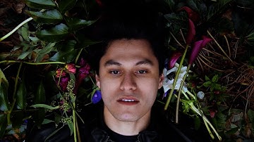 The Perceiver - Simulation (Official Music Video)