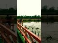 jugi bari