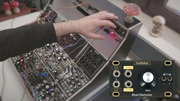 5 Patchlets with Guillotine from Ritual Electronics (sound only, no talking)