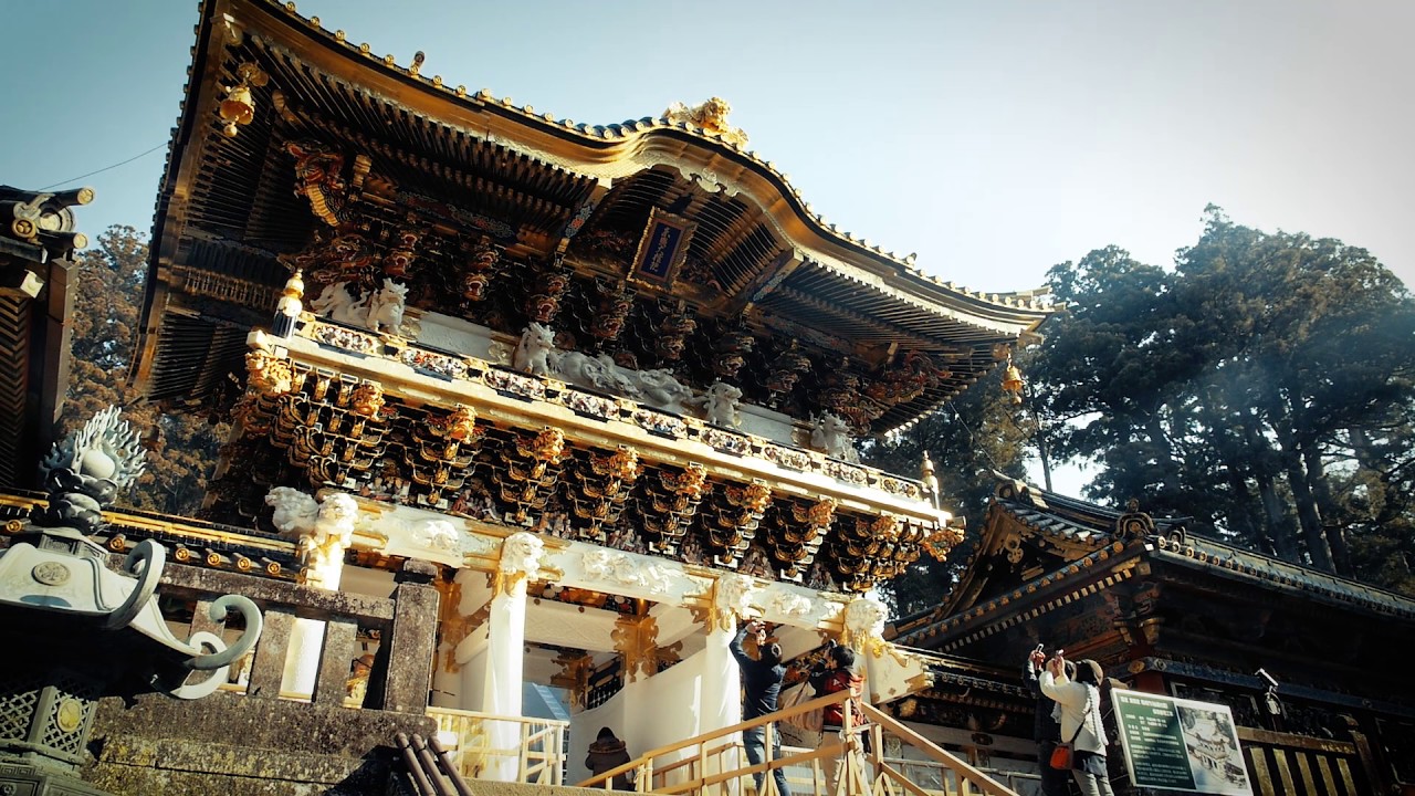 日本の文化を支えるマテリアル | うるしの國・浄法寺
