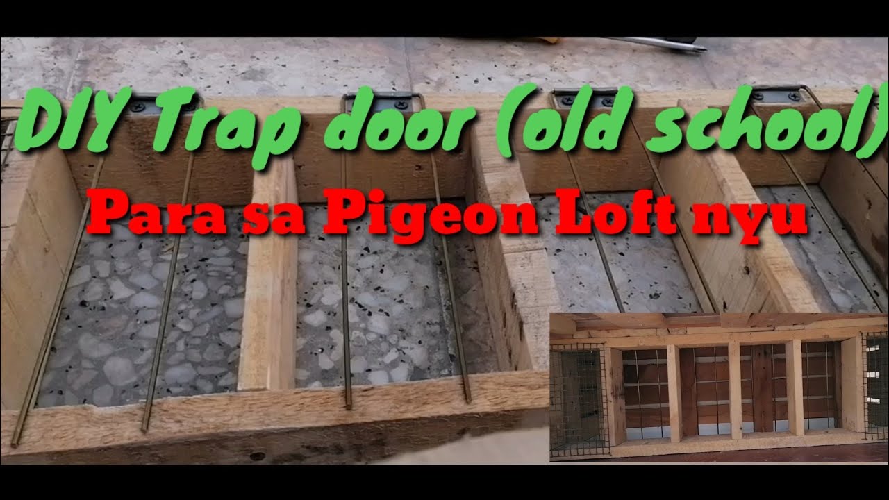 DIY Trap door (Old School) for your Pigeon