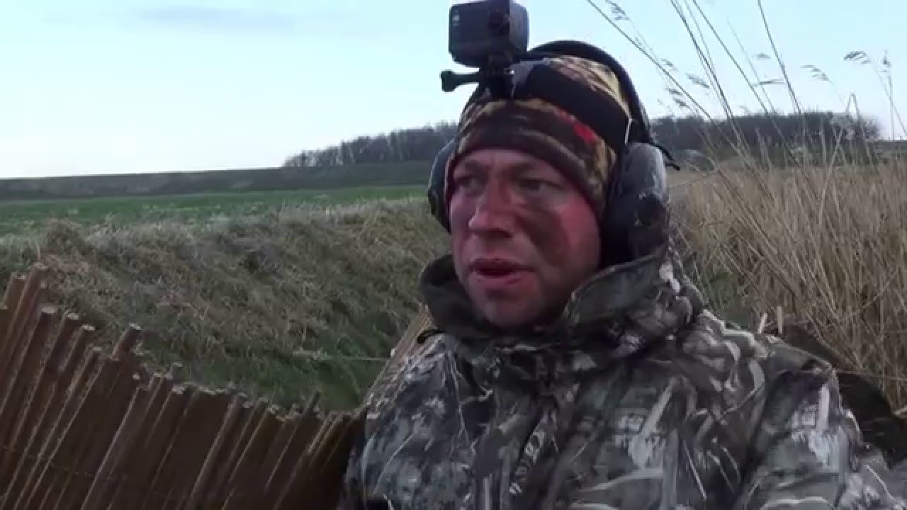 Enten Jagd Enten Jagd