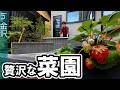 【#庭チューバー#庭工事】徹底解説★#菜園#目隠し#ライティング 金沢