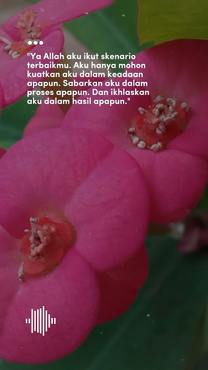 Muhasabah Cinta - Anisa Rahman