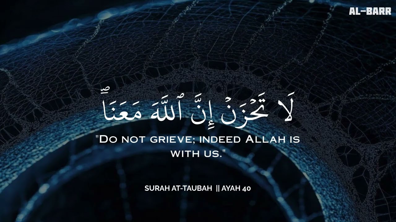 رح سمعك وقلبك بالقرآن❤️🎧 وأستمع لتلاوة هادئه بصوت محمد هشام | راحة نفسية😌 | Mohamed Hesham