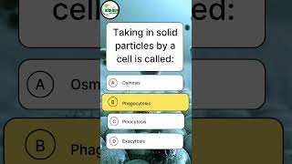 Biology MCQ: Cell Eating Process = ? 🤔 #shortsviral #ytshorts #biologywithravian