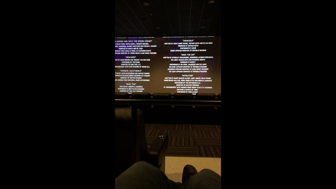 Spider man into the spider verse end credits
