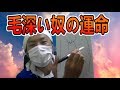 まるでモンジャラ、圧倒的毛深い奴の悩み