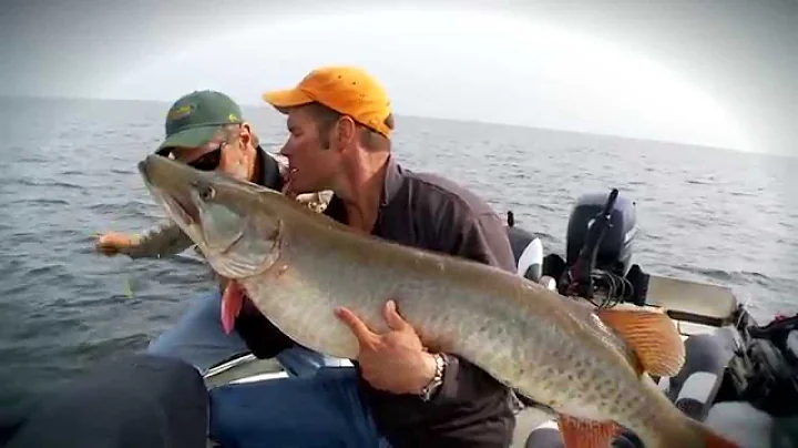 Monster Musky Eats Smallmouth - The Fish of a Life...