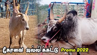 கோவை ஜல்லிக்கட்டு Promo 2022 || Covai jallikattu 2022