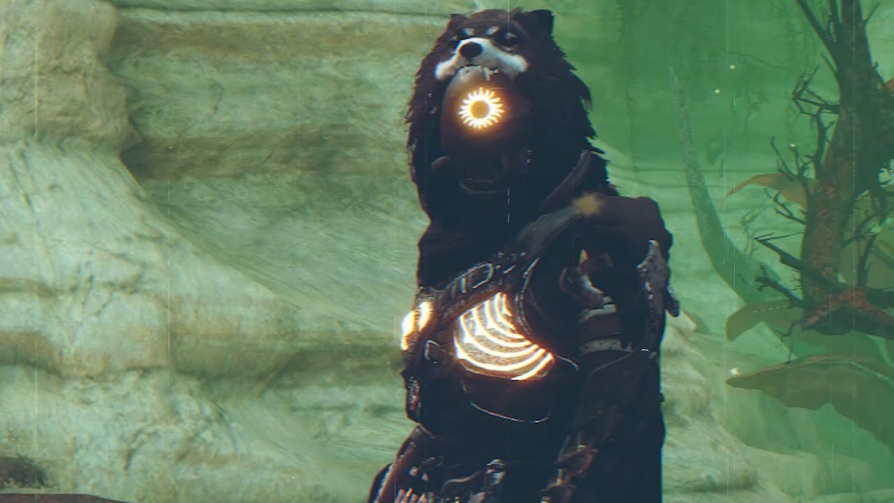 who-is-oldwolf-nexus-6-cheater-old-guy-no-one-cares-freed