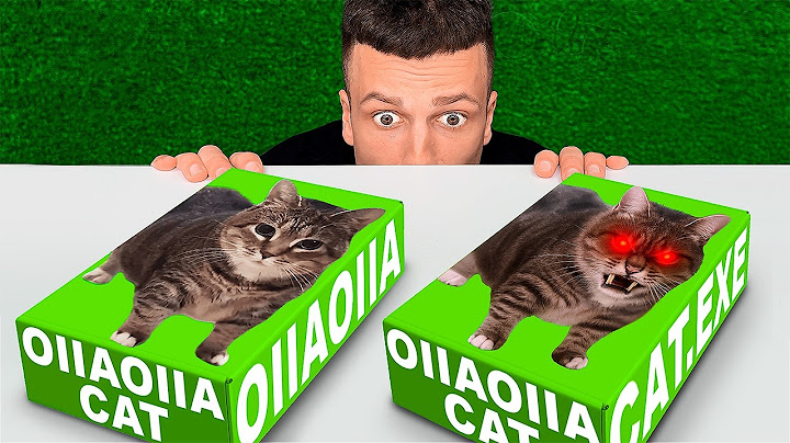 Don’t Open the OIIAOIIA CAT LEGO Set at 3:00 AM!!
