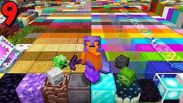 I Collected EVERY Block in Minecraft Hardcore