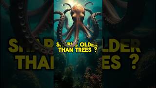 Facts That Make Sea Mysteries #facts #sandart #satisfying