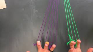 5 Loop Square and Flat Kute-Uci