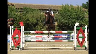 *SOLD* geldin 2009 great price