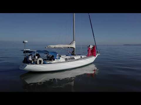 Видео: Фотосессия на Яхте ⛵️Мои Новые Платья, Зима в Калифорнии. Yacht PhotoShoot