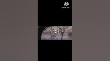 سورة يوسف . الشيخ عبد الباسط عبد الصمد