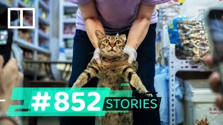 Hidden Gems Tour Guide Shows Visitors Hong Kongs Vanishing Attractions