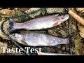 Kokanee Salmon vs. Stocked Trout Catch n' Cook Taste Test