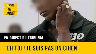 Outrage à agent : une rébellion qui coute cher - En direct du Tribunal - Cayenne 2 - Dossier 25