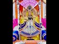 jai shree Nath ji jai charbhujanath
