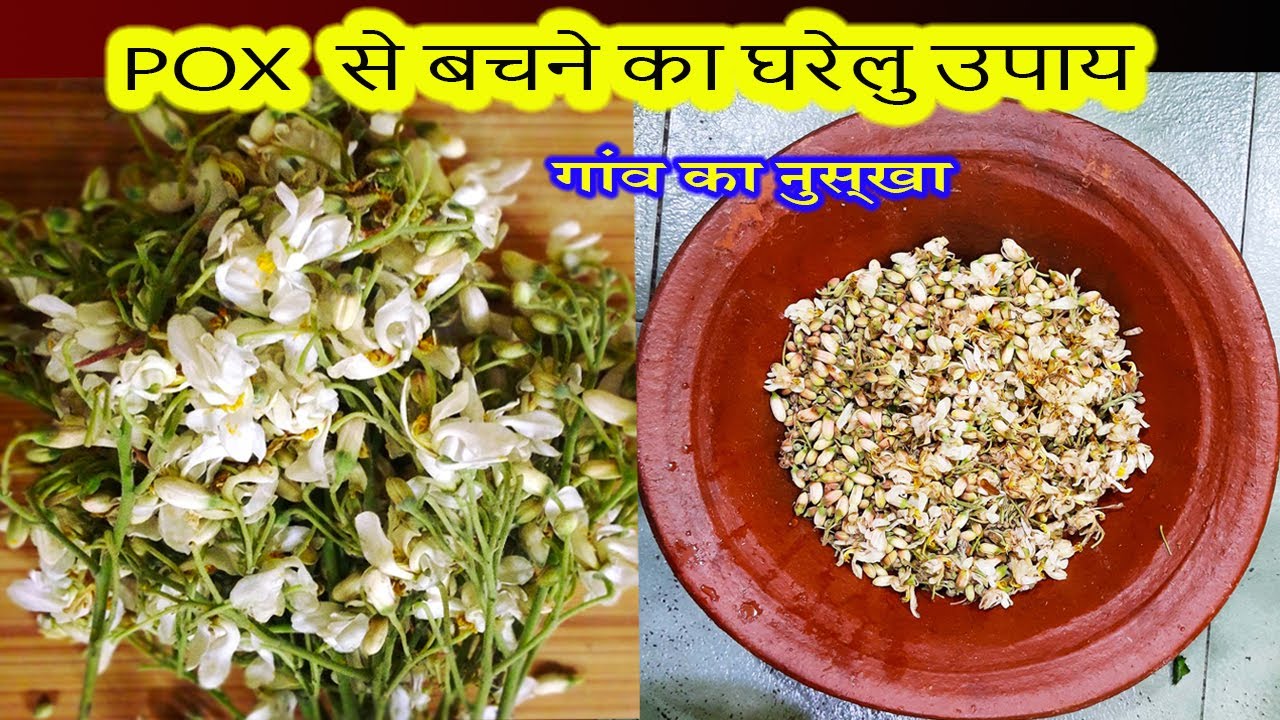 Drumstick flower recipe Sahjan ke phool ko aise banaye High blood