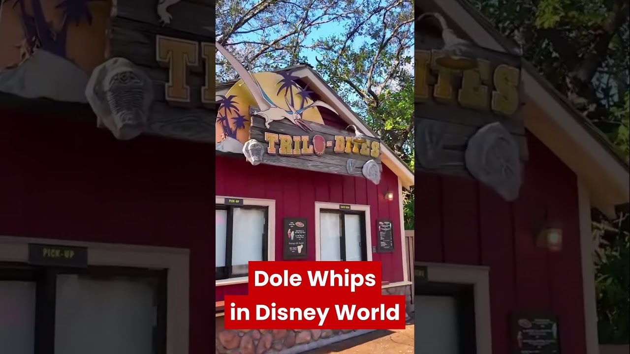 Love Dole Whips? Here's a handy guide to finding them in #waltdisneyworld #dolewhip #magickingdom