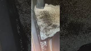 What To Do When Your Car Floor Is Soaked